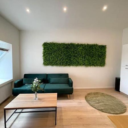 Apartmán Schitterend Sint - Jacobs Loft In Antwerpen Exteriér fotografie